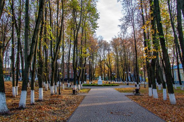 «Владимирские новости» предлагают маршрут для туристов и жителей Владимирской области по самым интересным и красивым местам областного центра 