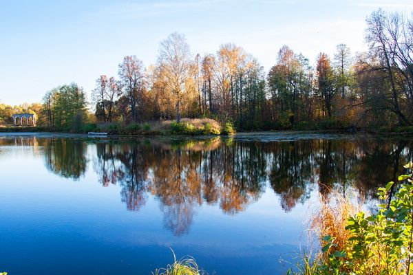 Одно из лучших мест Владимирской области для встречи с осенью – усадьба Храповицкого 