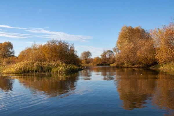 Золотая осень: одно из самых красивых мест Владимирской области 