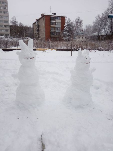 Жители Владимирской области слепили необычных снеговиков