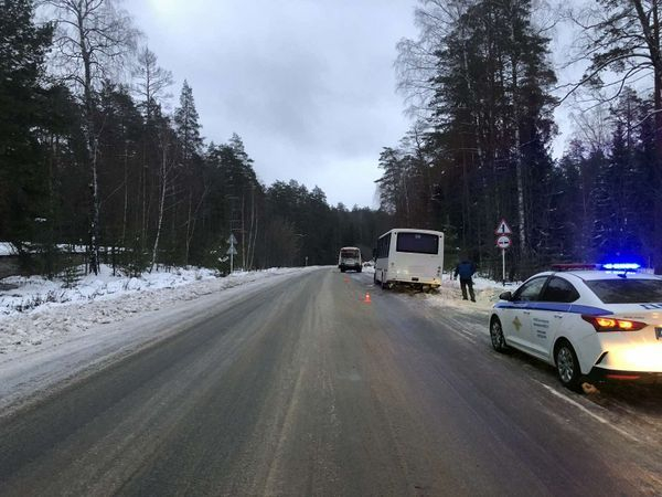 Во Владимирской области столкнулись два рейсовых автобуса