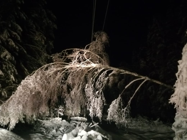 Во Владимирской области сообщили о последствиях мощного снегопада