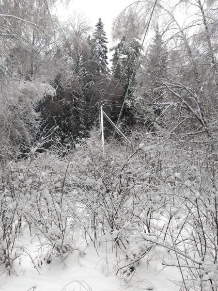 Во Владимирской области сообщили о последствиях мощного снегопада