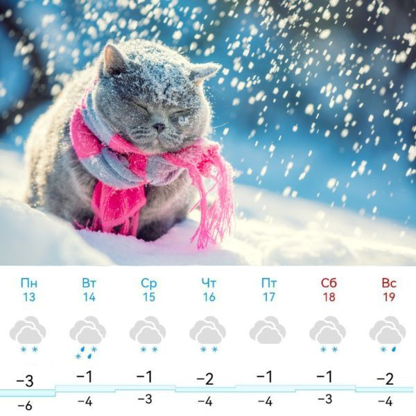Владимирскую область ждет снежная неделя