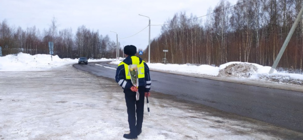 Во Владимирской области инспекторы ГИБДД поздравили автоледи с 8 Марта